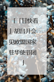 「甘快看」胡昌升会见欧盟国家驻华使节团