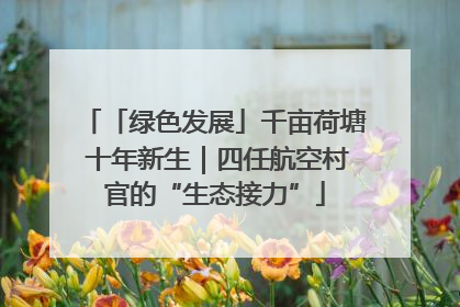 「绿色发展」千亩荷塘 十年新生｜四任航空村官的“生态接力”
