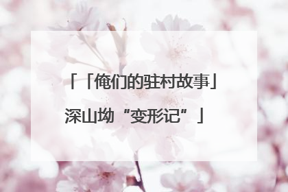 「俺们的驻村故事」深山坳“变形记”