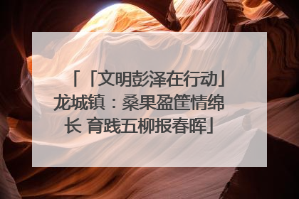 「文明彭泽在行动」龙城镇：桑果盈筐情绵长 育践五柳报春晖