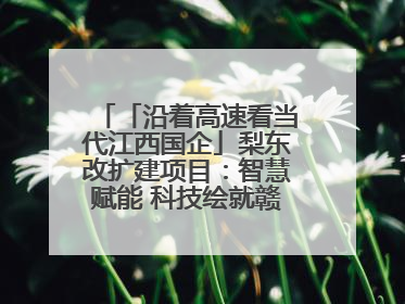 「沿着高速看当代江西国企」梨东改扩建项目：智慧赋能 科技绘就赣鄱交通新图景