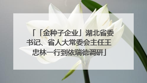 「金种子企业」湖北省委书记、省人大常委会主任王忠林一行到依瑞德调研