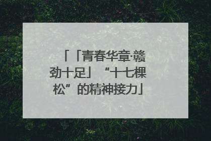 「青春华章·赣劲十足」“十七棵松”的精神接力