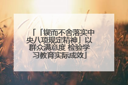 「锲而不舍落实中央八项规定精神」以群众满意度 检验学习教育实际成效