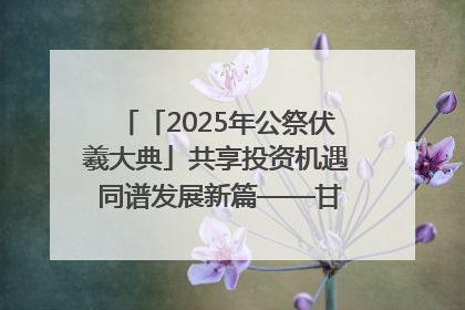「2025年公祭伏羲大典」共享投资机遇 同谱发展新篇——甘肃省文旅产业链招商引资推介会侧记