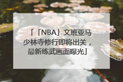 「NBA」文班亚马少林寺修行即将出关，最新练武画面曝光