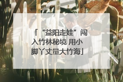 “益阳走娃”闯入竹林秘境 用小脚丫丈量大竹海