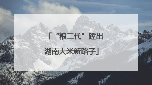 “粮二代”蹚出湖南大米新路子