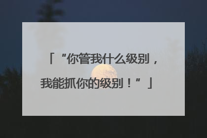“你管我什么级别，我能抓你的级别！”
