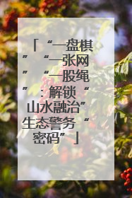 “一盘棋”“一张网”“一股绳”：解锁“山水融治”生态警务“密码”