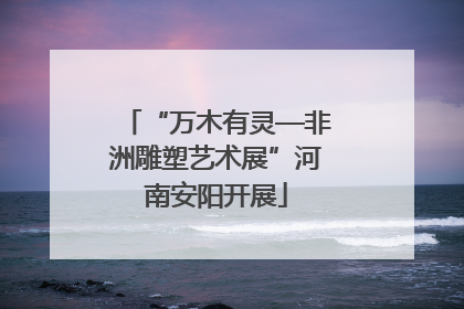 “万木有灵—非洲雕塑艺术展”河南安阳开展