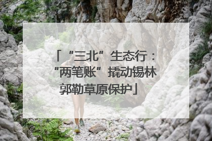 “三北”生态行：“两笔账”撬动锡林郭勒草原保护