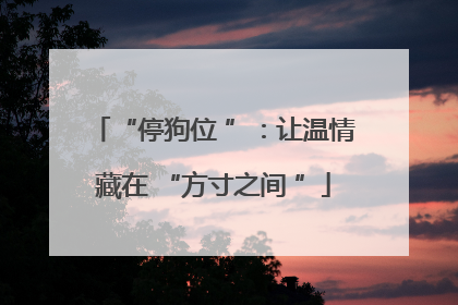 “停狗位 ”：让温情藏在 “方寸之间 ”