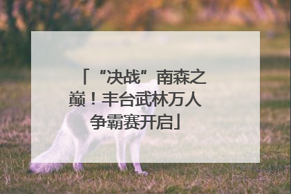 “决战”南森之巅！丰台武林万人争霸赛开启
