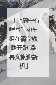 “周宁有鲤号”动车组在衢宁铁路开跑 避暑文旅迎新机