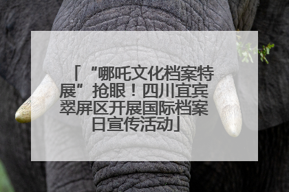 “哪吒文化档案特展”抢眼！四川宜宾翠屏区开展国际档案日宣传活动