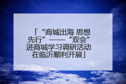“商城出海 思想先行”——“双会”进商城学习调研活动在临沂顺利开展