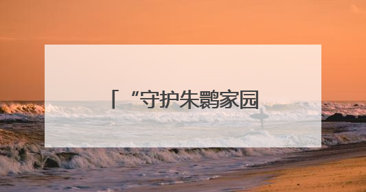 “守护朱鹮家园”（侨乡新貌）
