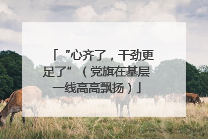 “心齐了，干劲更足了”（党旗在基层一线高高飘扬）