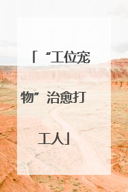 “工位宠物”治愈打工人