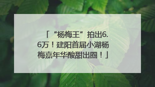 “杨梅王”拍出6.6万！建阳首届小湖杨梅嘉年华酸甜出圈！