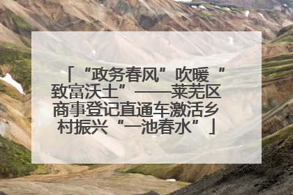 “政务春风”吹暖“致富沃土”——莱芜区商事登记直通车激活乡村振兴“一池春水”