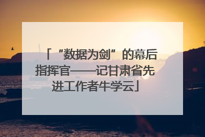 “数据为剑”的幕后指挥官——记甘肃省先进工作者牛学云