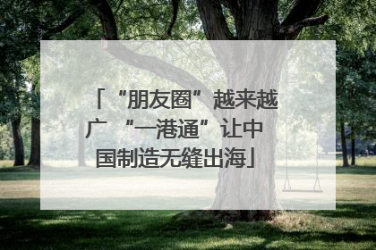 “朋友圈”越来越广 “一港通”让中国制造无缝出海