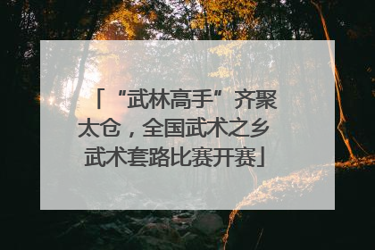 “武林高手”齐聚太仓，全国武术之乡武术套路比赛开赛