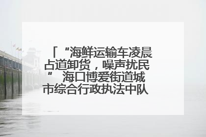 “海鲜运输车凌晨占道卸货，噪声扰民” 海口博爱街道城市综合行政执法中队：将联合交警加强长堤路一带巡逻