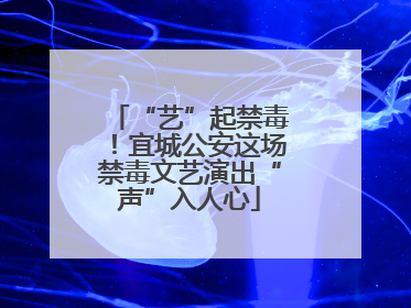 “艺”起禁毒！宜城公安这场禁毒文艺演出“声”入人心