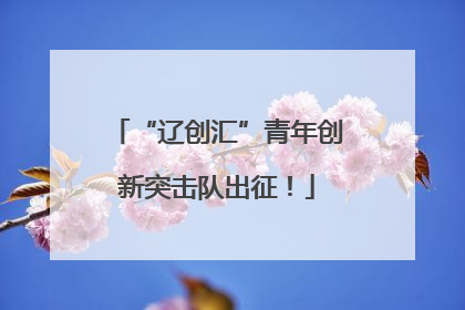 “辽创汇”青年创新突击队出征！