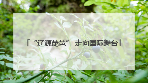 “辽源琵琶” 走向国际舞台