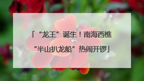 “龙王”诞生！南海西樵“半山扒龙船”热闹开锣