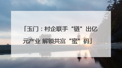 玉门：村企联手“链”出亿元产业 解锁共富“蜜”码