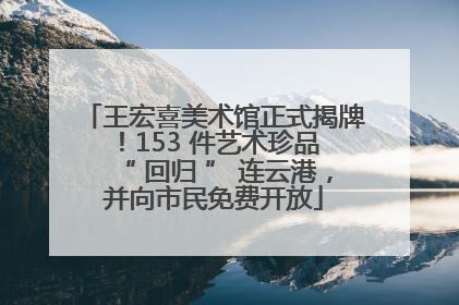 王宏喜美术馆正式揭牌！153 件艺术珍品 “ 回归 ” 连云港，并向市民免费开放