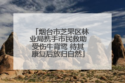 烟台市芝罘区林业局携手市民救助受伤牛背鹭 待其康复后放归自然