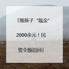 熊孩子“氪金”2000余元！民警全额追回