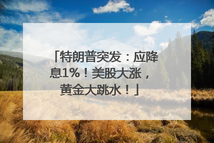 特朗普突发：应降息1%！美股大涨，黄金大跳水！