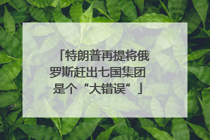 特朗普再提将俄罗斯赶出七国集团是个“大错误”