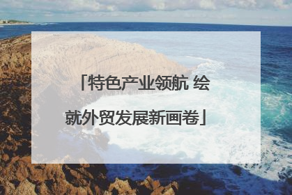 特色产业领航 绘就外贸发展新画卷