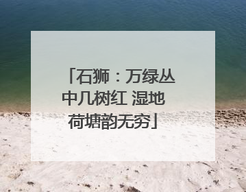 石狮：万绿丛中几树红 湿地荷塘韵无穷