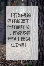 石如根跨省任新疆工信厅副厅长，连续多名年轻干部调任新疆