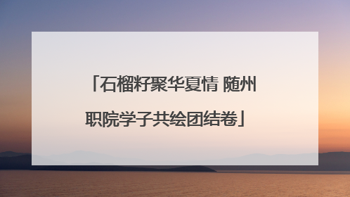 石榴籽聚华夏情 随州职院学子共绘团结卷