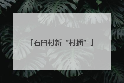 石臼村新“村播”