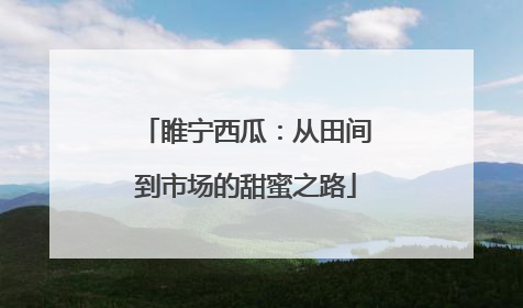 睢宁西瓜：从田间到市场的甜蜜之路