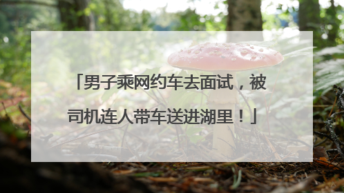 男子乘网约车去面试，被司机连人带车送进湖里！