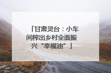 甘肃灵台：小车间榨出乡村全面振兴“幸福油”