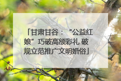 甘肃甘谷：“公益红娘”巧破高额彩礼 破规立范推广文明婚俗