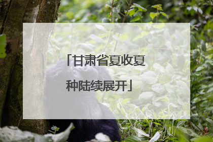 甘肃省夏收夏种陆续展开